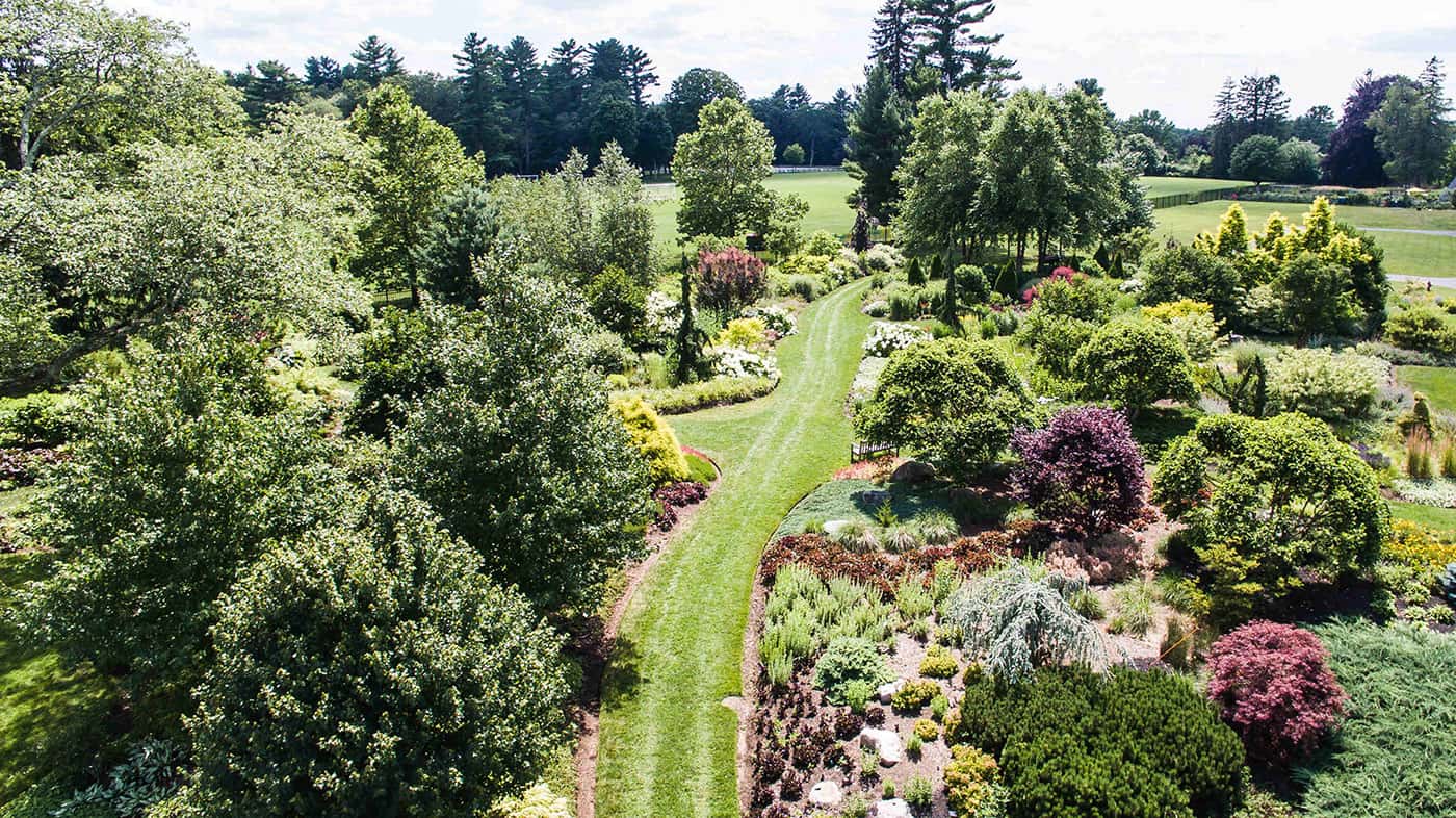 garden